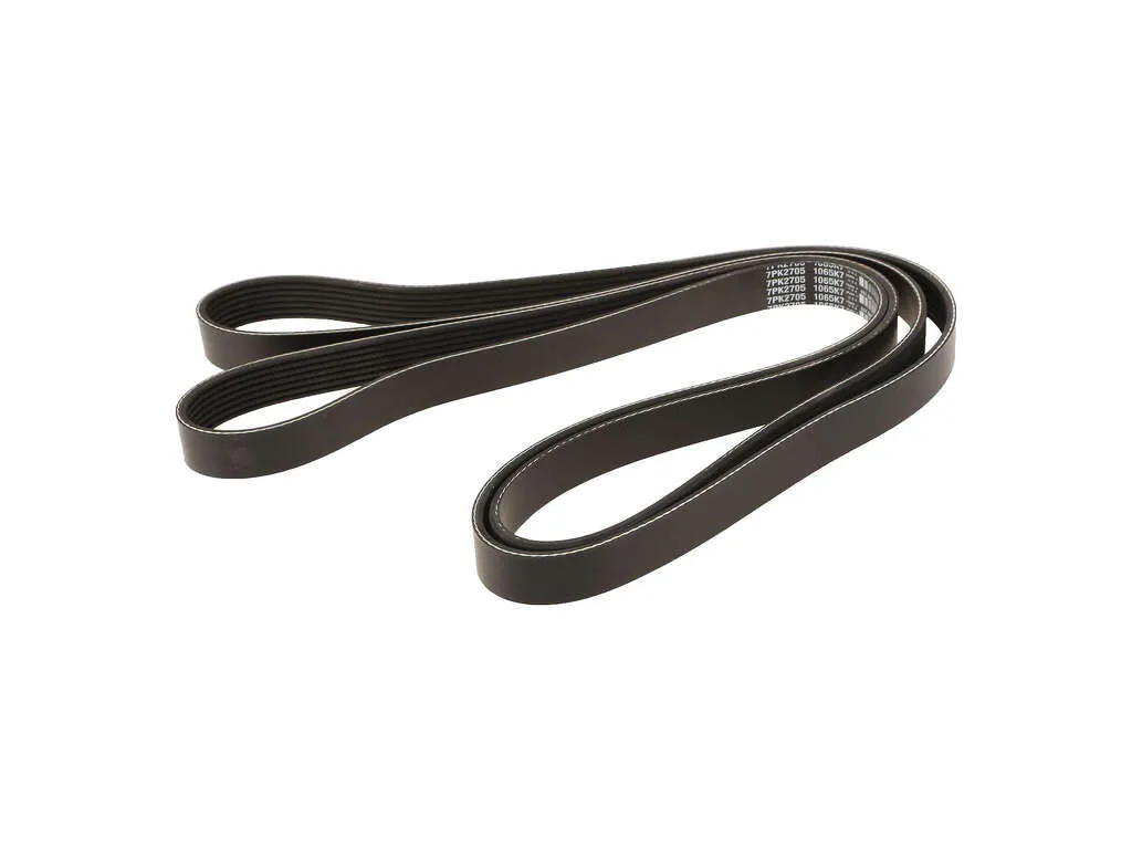 2002 Land Rover Discovery Accessory Drive Belt  - Alternator and Power Steering Dayco