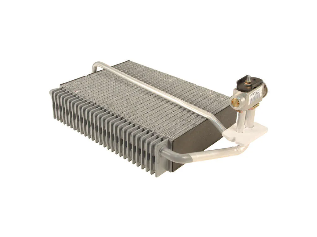 2001 Mercedes-Benz CL600 A/C Evaporator Core Rein