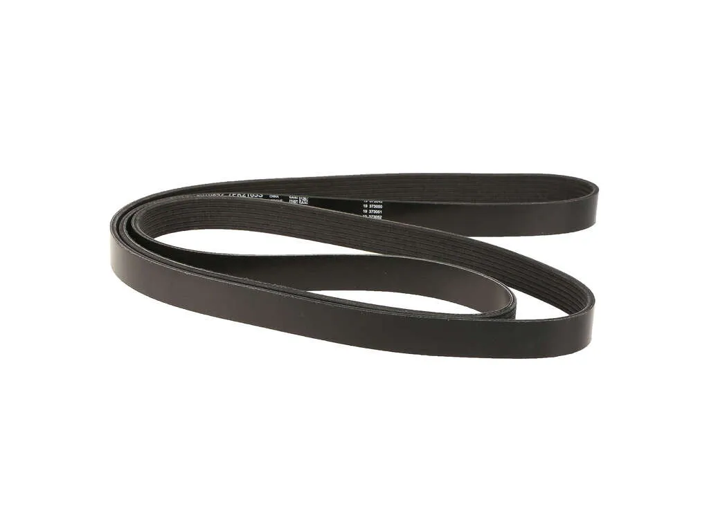 2011 Honda Civic Accessory Drive Belt 4 Cyl 1.8L Dayco