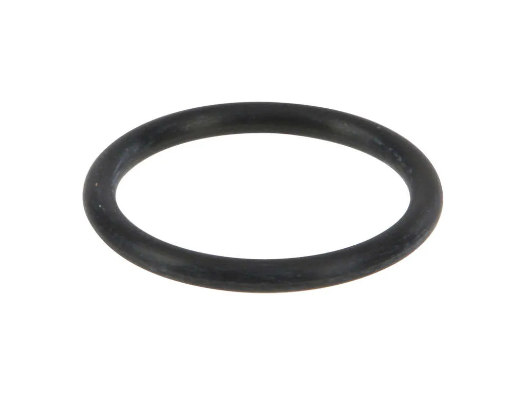 1997 Mazda MPV PCV Valve O-Ring Nippon Reinz
