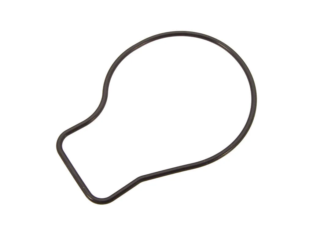 2000 Acura Integra Engine Water Pump Gasket Arai Seisakusho