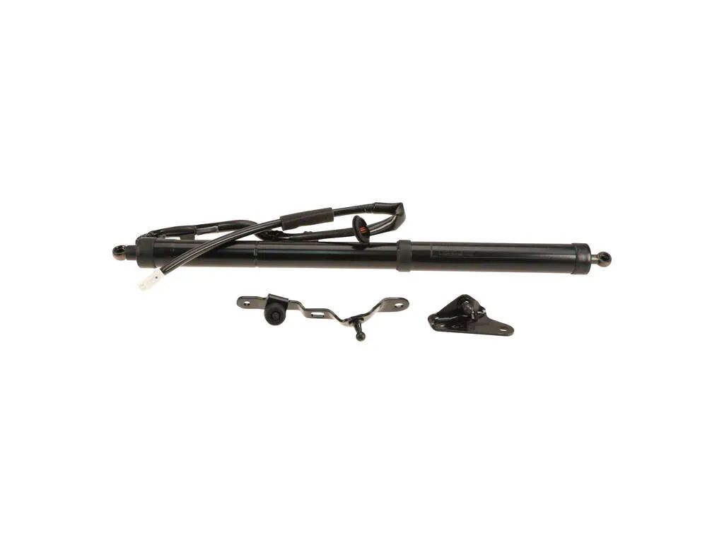 2016 Toyota RAV4 Tailgate Lift Motor  - Left Aisin