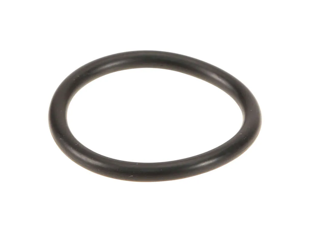 2004 Lincoln LS Engine Coolant Thermostat Housing Gasket 8 Cyl 3.9L Genuine